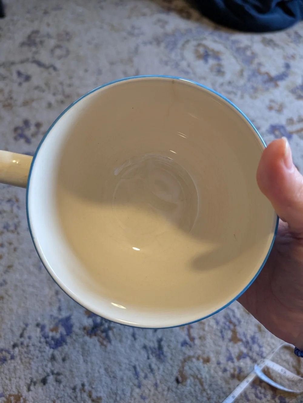 Cottage‎ Core Blue Plaid Mug